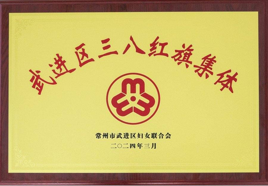 2024 武进区三八红旗集体奖牌